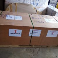 Petian - 20220219_143631
